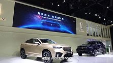 卖的就是产品力成都车展抢先体验WEYVV7家族