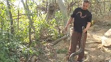 福建厦门：冬眠初醒！工地惊现大蟒蛇：长约5米，重约50斤