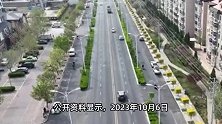 “我的世界”照进现实？河北一道路惊现“方形”绿化树！当地回应