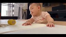 小宝宝啃玉米，画面太可爱了！宝宝太重了拿不动啊！