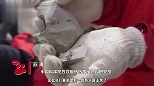 见证沧海桑田！研究人员在青藏高原发现鲨鱼化石，距今约2.2亿年