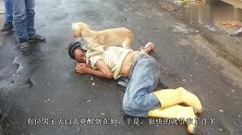 太有爱了！主人醉倒路边，忠犬贴心守护不让陌生人靠近