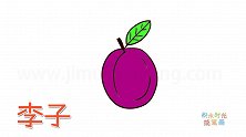 水果简笔画大全，画一个李子简笔画