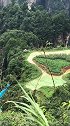 世界第一梯，张家界森林公园百龙天梯