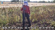 张家口大姐快言快语，她说老俩口一块干活就吵架，难道夫妻都这样