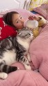 小日子过得舒服。撸猫喝奶奶 抱妈妈的睡衣 占爸爸的床