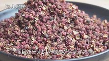 花椒油用油炸都过时了，老厨师教我新方法，又香又麻，做法超简单