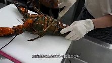 朋友花1000块买巨型龙虾，一处理发现太残忍，出锅却流口水