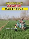 河北沧州：萌娃帮家里干农活，边走边洒化肥
