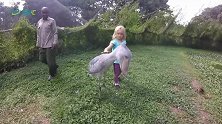 这种鸟的喙可以穿透鳄鱼皮肤 它看见人类竟会鞠躬