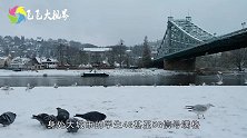 大赞！中国运营商专为雪山女孩开4G基站上网课