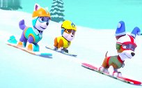 汪汪队立大功：小克学滑雪，还没学会自己滑，结果就摔伤了！