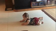 妈妈表示很无奈，为啥我家宝宝只会向后爬，肉嘟嘟的好想生一个