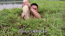 干裂的地上“抓鱼”扳开泥土一看全是鱼，究竟怎么一回事呢