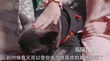 陈翔六点半：女孩与爱犬居然实现交流，上演一出本土版忠犬八公！