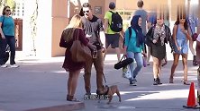 街头实验：小伙牵着狗狗去搭讪妹子,看这成功率多高！