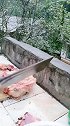 平平淡淡才是真，你们觉得呢？来我家吃鸡肉吧
