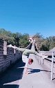 这姑娘的才艺表演，是我见过最最高难的！