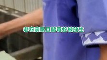 可笑！台湾团体违规放生毒蛇乱窜 居民质疑被回“念过经不咬人”