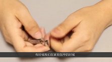 为什么晚上不能剪指甲？我也是才知道，并非迷信，有这种讲究 ！