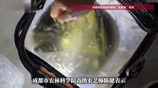 成都多个水库湖泊钓起“黑耳”怪鱼！专家：别放生，可清蒸红烧