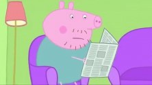 小猪佩奇：猪爸弄丢了眼镜，很焦急，却非要盯着报纸看！