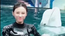 美女驯养员，人这么可爱可惜是个逗比，把白鲸都带歪了。