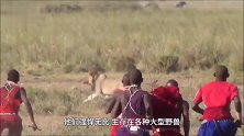 食物链顶端的狮子，为何见到非洲土著就跑镜头解密全过程