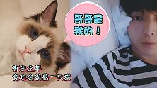 张艺兴七夕晒与猫合影视频，花式秀猫尽显宠溺，网友：凭实力单身