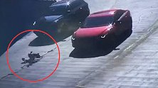吓人！幼童独自骑滑板车冲上马路 车流中摔入越野车底