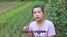 提高葱的产量，方法只有一招，多到摘不完