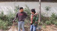 短剧：公公给产后儿媳做月子餐，儿子偷尝一口，报警抓父亲