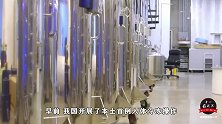 中国本土首例冷冻人，冻在-196℃液氮中，人类真能死而复生？