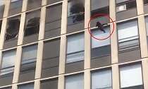 美国：一黑猫从着火公寓楼跳下逃生，平稳落地后潇洒离开