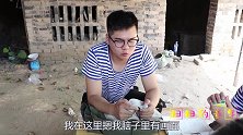 如花老师带来一只荷兰猪，小荷兰猪长得真像小老鼠！太可爱了