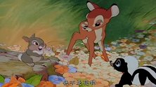 小鹿斑比：斑比称呼它为花，桑普在旁边偷笑！