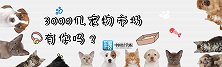 2000亿的消费市场！这个赚钱机会，老百姓不可多得！