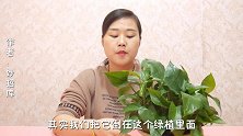 抽油烟机里的废油别倒了，把它留着作用真厉害，很多家庭都用得着