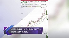 比茅台还暴利!这只大牛股4天跌20%,好股票又被外资抄底了