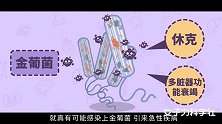 经期给你添“堵”的棉条，比卫生巾好在哪儿？