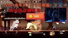 16888金币买了一只花痴猫，据说还会“狮吼功”