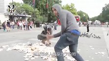 国外广场深受鸽子毒害，政府很是头疼，为控制其数量为其绝育