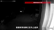 偷狗贼凌晨出没30秒得手，全家人惊醒后开车寻找