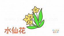 植物简笔画大全，画Q版水仙花简笔画