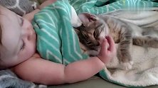 这是我见过的最可爱的宝宝和猫咪了，萌萌哒好可爱
