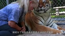几百斤的棕熊趴在主人身上撒娇，推都推不开，这份爱太沉重