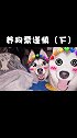 这是一条不归路搞笑萌宠
