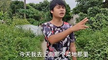 农田里有一窝小蝌蚪搁浅了，看着挺可怜的，让我帮一下它们吧