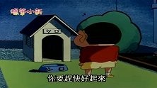 蜡笔小新：小白住院了，小新闷闷不乐住进狗窝，心情好复杂