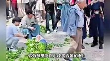 河南开封万岁山景区树干倒塌，多名游客被砸伤，景区回应
